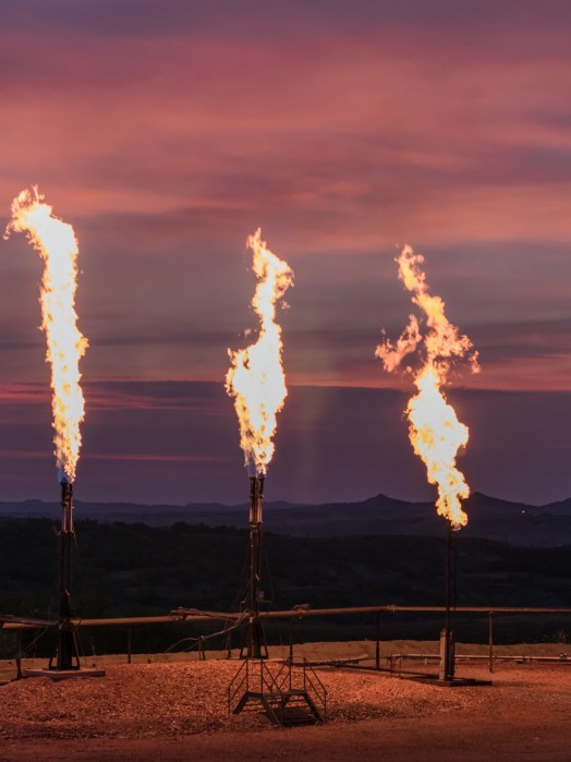 Flame Arrestor Element