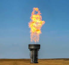 Flame Arrestor Element